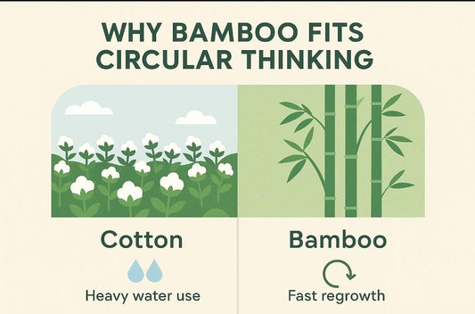 Why Bamboo Is the Future of Sustainable Living